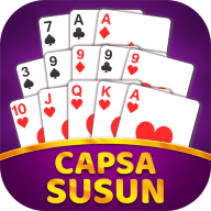 Capsa Susun